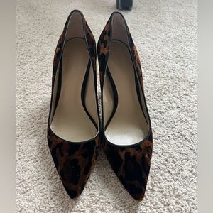 Ann Taylor Mills Velvet Pumps in Dark Brown/Leopard- Size 6.5M